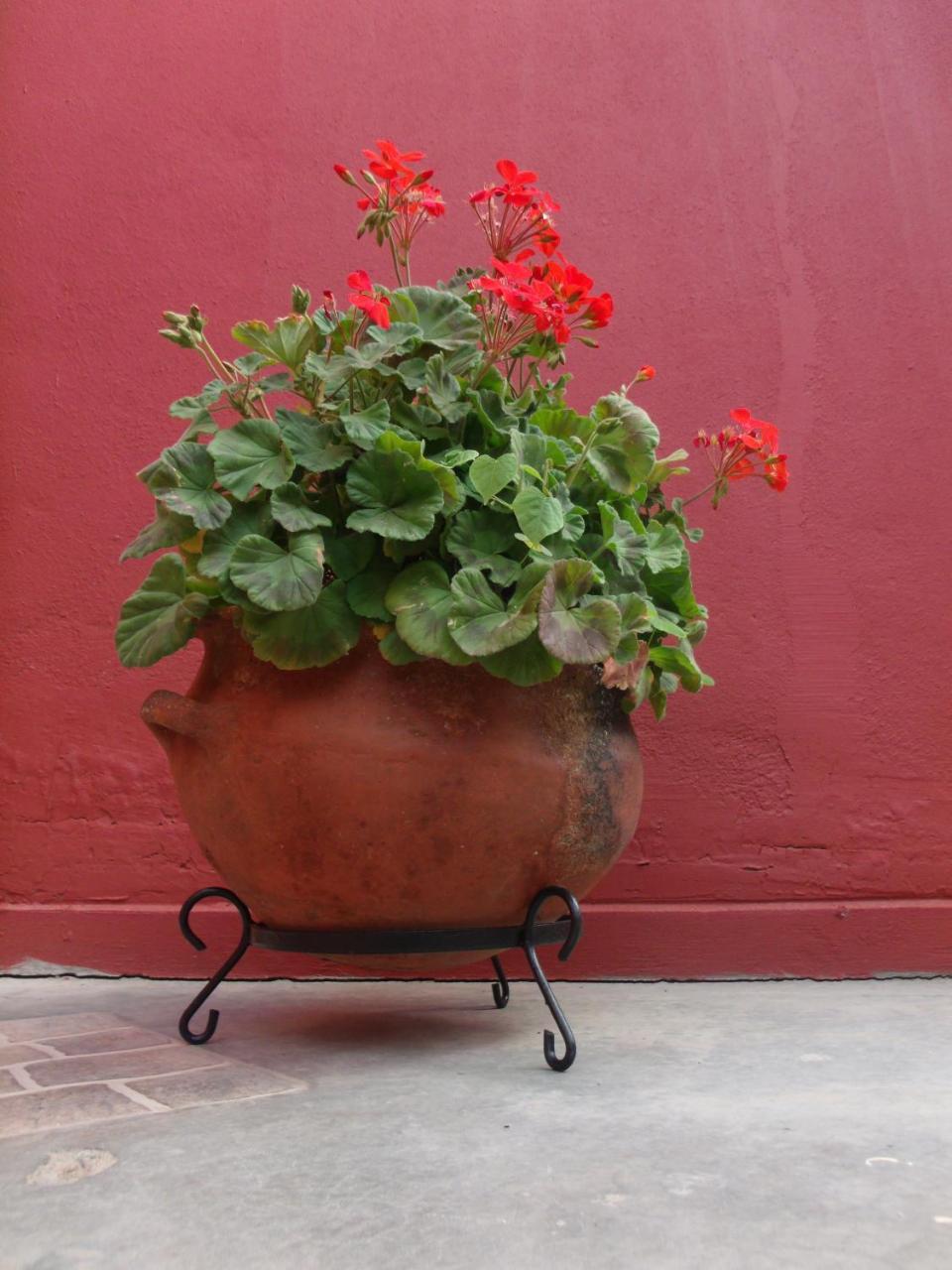 Munay Humahuaca Bagian luar foto